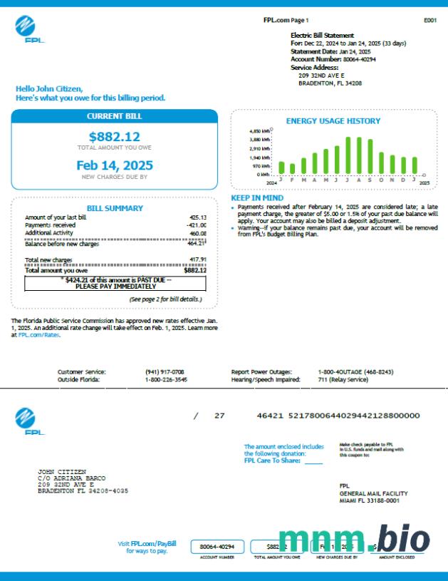 Szablon rachunku za media FPL USA w formatach Word i PDF, Wersja 5
